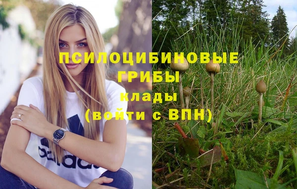 трава Нефтекумск