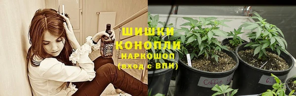 крисы Зеленодольск