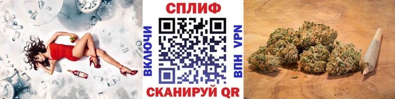 где купить   Советск  Бошки марихуана марихуана 